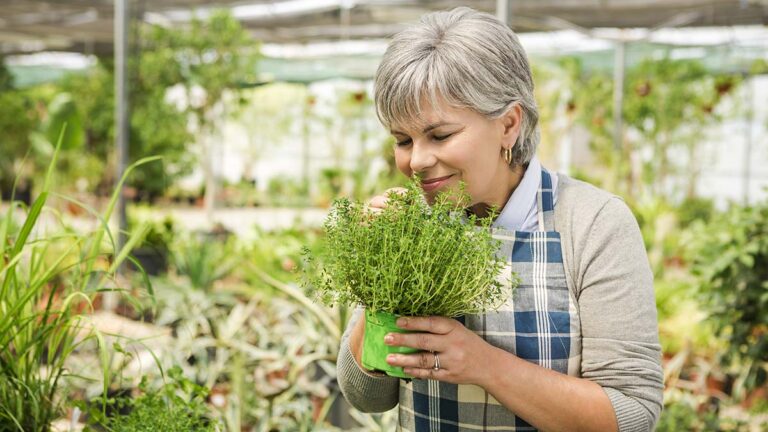 Beautiful mature woman holding fresh herbs and smelling them