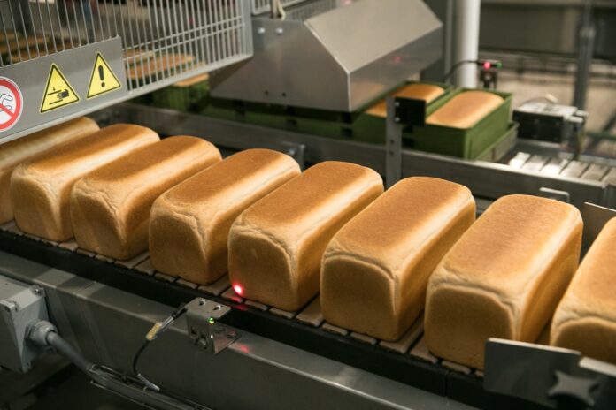 Loaves,Of,Bread,In,A,Bakery,On,An,Automated,Conveyor.
